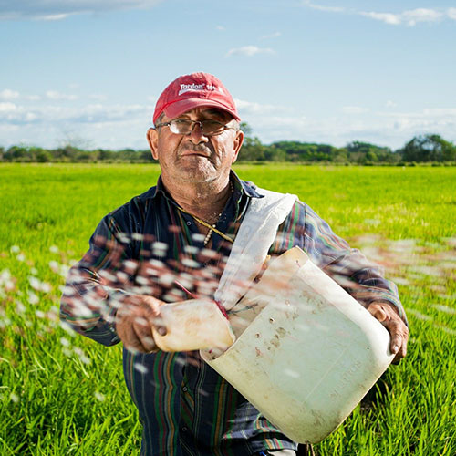 portrait d'un producteur